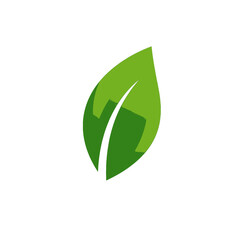 Green leaf on white background