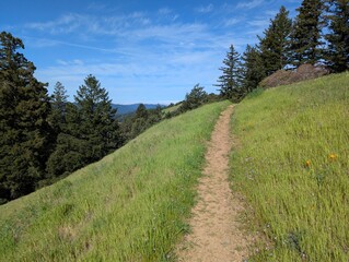 hiking trail on a hillside