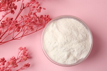 Collagen powder in bowl and gypsophila branches on pink background, flat lay