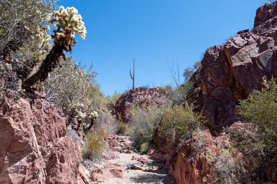  Sonoran Desert arroyo with red stone walls