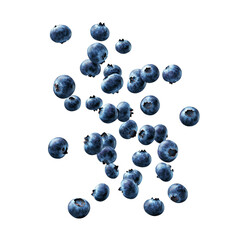 Falling blueberries in scattered motion. Isolated white background. Png format