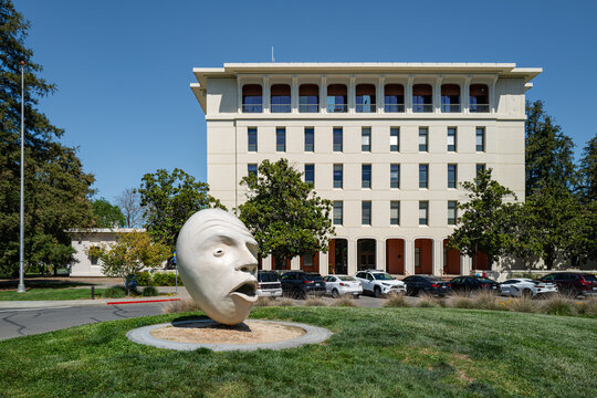 An iconic Egghead sculptures located in front of Emil Mrak Hall at U.C. Davis. At least 23 international students and recent grads have had their visas revoked by the Trump administration.