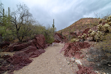 Sonoran desert arroyo with red stone walls
