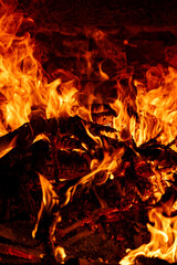Fire in the wood oven