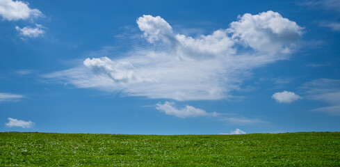 Empty summer spring field. Grass meadow. Lawn grass background. Summer green environment. Green...