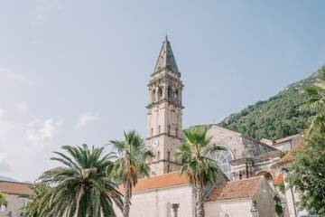 Fototapeta premium Green palm trees grow near the Church of St. Nicholas in Perast. Montenegro