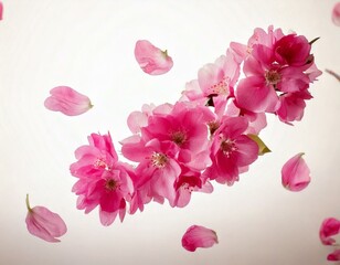 Fototapeta premium A beautiful image of sping pink flowers flying in the air on the pastel . Levitation concept