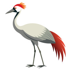 Crane bird isolated on white background