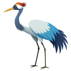 Crane bird isolated on white background