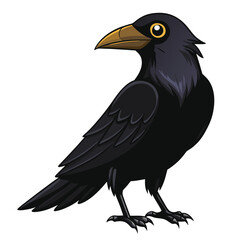 Fototapeta premium Crow isolated on white background