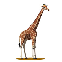 Obraz premium Geometric Illustration of a Giraffe