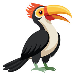 Hornbill isolated on white background