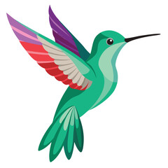 Hummingbird isolated on white background