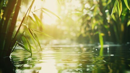 Naklejka premium Fresh Green Bamboo Plants Standing in Calm Water with Sunlight Filtering Through Leaves. Tranquil Scene Evoking Serenity and Peace for Nature Lovers and Eco-Tourism.