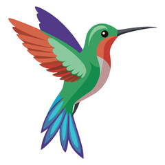 Obraz premium Hummingbird isolated on white background