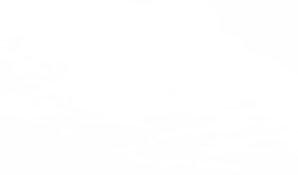 Scattered Clouds on the Horizon Isolated on White. Cloudscape on blank transparent background.