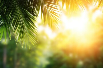 Fototapeta premium Palm trees with green fronds and sunny bokeh background summer tropical theme