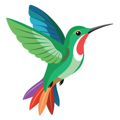 Obraz premium Hummingbird isolated on white background