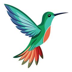 Hummingbird isolated on white background