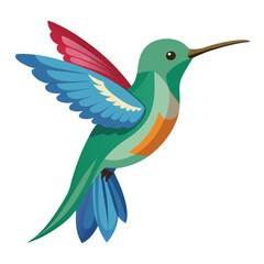 Hummingbird isolated on white background