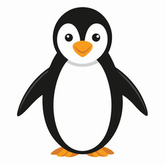 Penguin isolated on white background