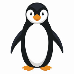 Penguin isolated on white background