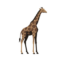 Obraz premium Elegant Giraffe Standing Tall with Its Beautiful Pattern