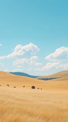 Obraz premium Golden field under a blue sky with puffy clouds rolling over distant hills in a tranquil, rural scene