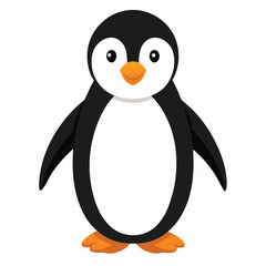 Penguin isolated on white background