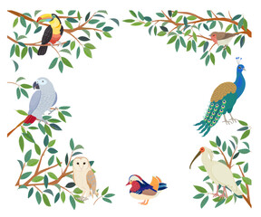 きれいな鳥のフレーム