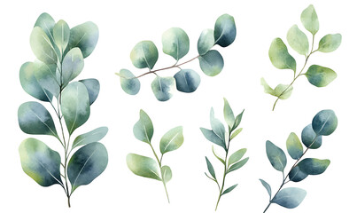 illustrations of various trees, leaves, grasses, and botanical elements on white background.