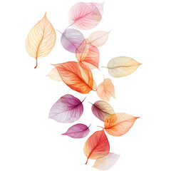 Obraz premium illustrations of various trees, leaves, grasses, and botanical elements on white background.
