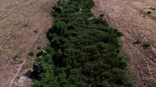 A drone over fields and mountains near Sibari, Italy. A cloudy summer day