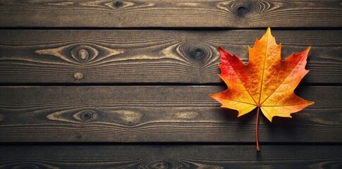 Obraz premium Rustic wooden plank background with a single fallen leaf, earthy tones, forest