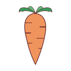carrot simple design. logo.icon vector illustrations