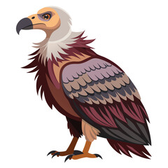 Vulture isolated on white background