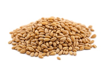 Fototapeta premium Wheat grain isolated on white background