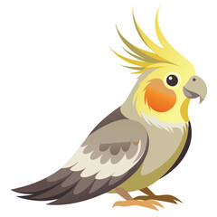 Goldfinch isolated on white background