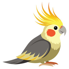 Goldfinch isolated on white background