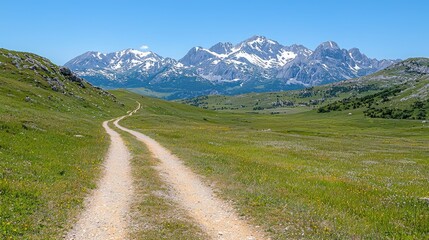 Naklejka premium Serene countryside path tranquil nature scene for travel and lifestyle projects