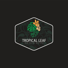 Tropical leave abstrack frame nature vector image.shape and logo vector,Green tropical leaves frame copy space vector image