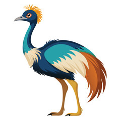 Cuckoo bird isolated on white background