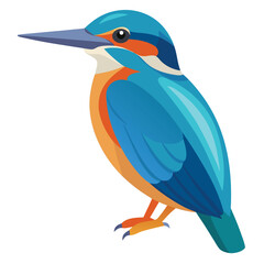 Kingfisher isolated on white background