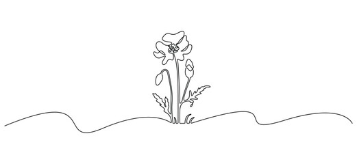 Fototapeta premium Continuous single line drawing of wild flower corn poppy line art vector graphic illustration