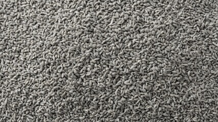 Macro closeup background texture of raw whole rye grains filling the frame detail. Best for agricultural themes and whole grain food packaging