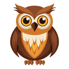 Owl bird isolated on white background