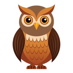 Owl bird isolated on white background
