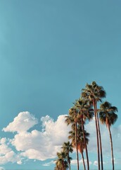Fototapeta premium Palm trees under a bright blue sky with fluffy clouds, representing tropical bliss