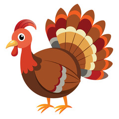  Turkey isolated on white background