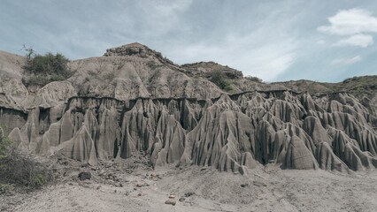 Path Through the Desert Vegetation in Colombia. A narrow trail cutting through arid vegetation with cacti and dry shrubs. Taken during sunset in a Colombian dry forest ecosystem, this photo is ideal f